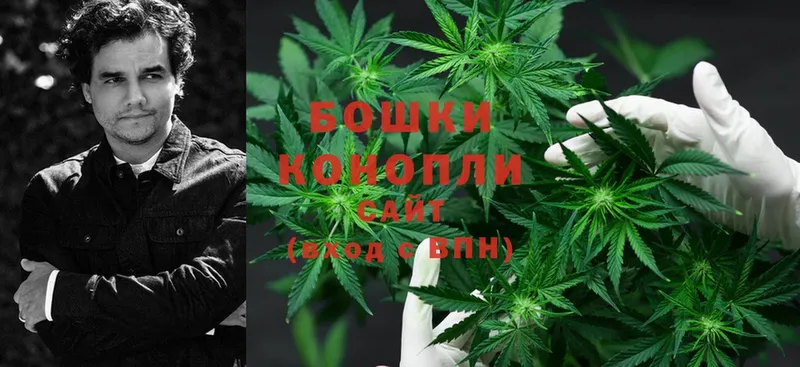 Шишки марихуана OG Kush  где найти наркотики  mega рабочий сайт  Енисейск 